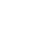 icon_seo-bco-G